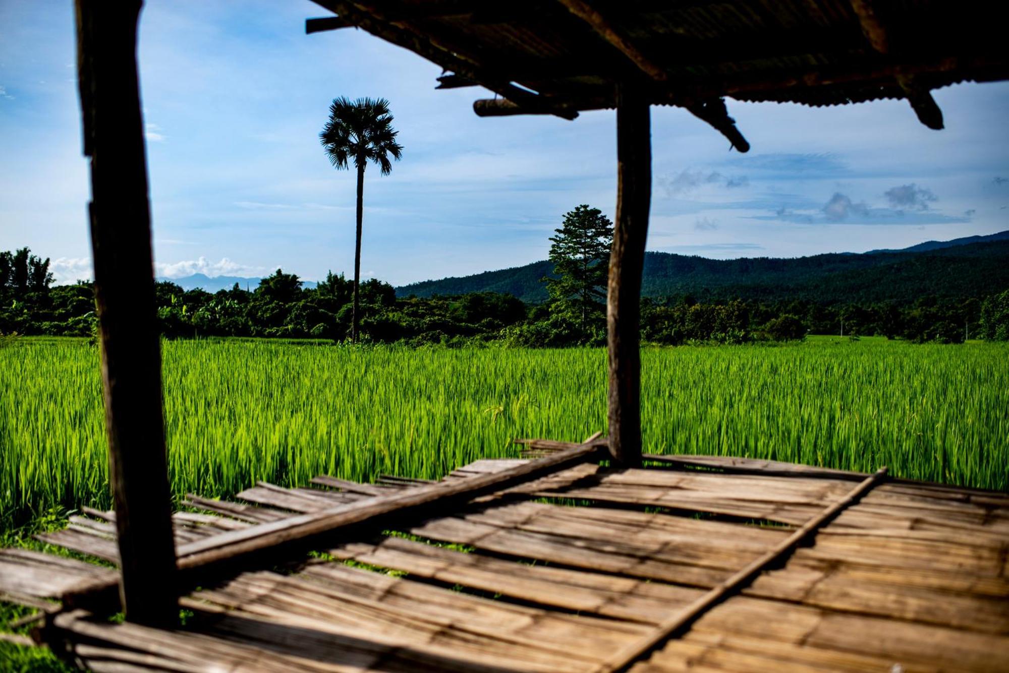 Suan Sook Homestay Chom Thong Exteriör bild