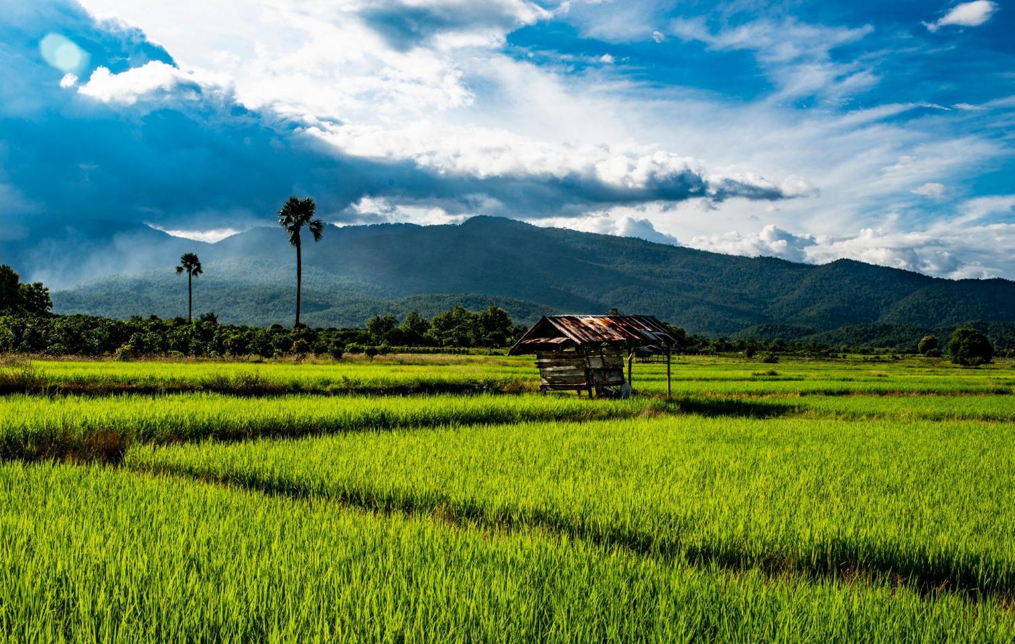 Suan Sook Homestay Chom Thong Exteriör bild